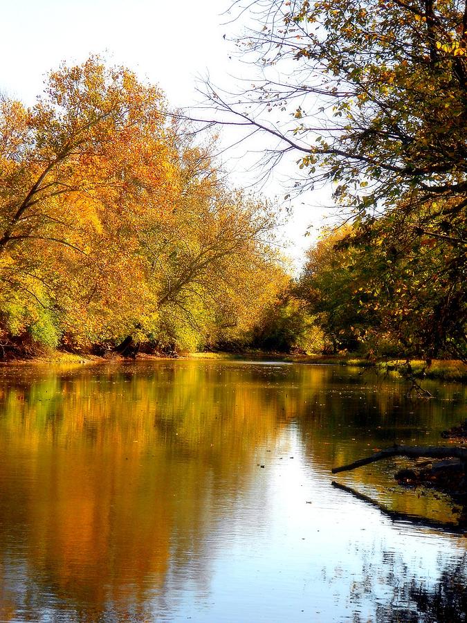 River Reflections Photograph by Michelle Flory - Pixels