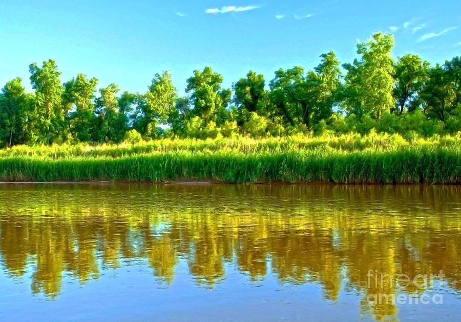 River Reflections Photograph by Roselynne Broussard