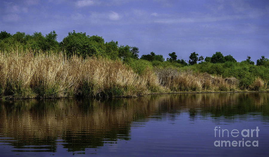 River reversed view Photograph by Marilyn Michalec Fine Art America