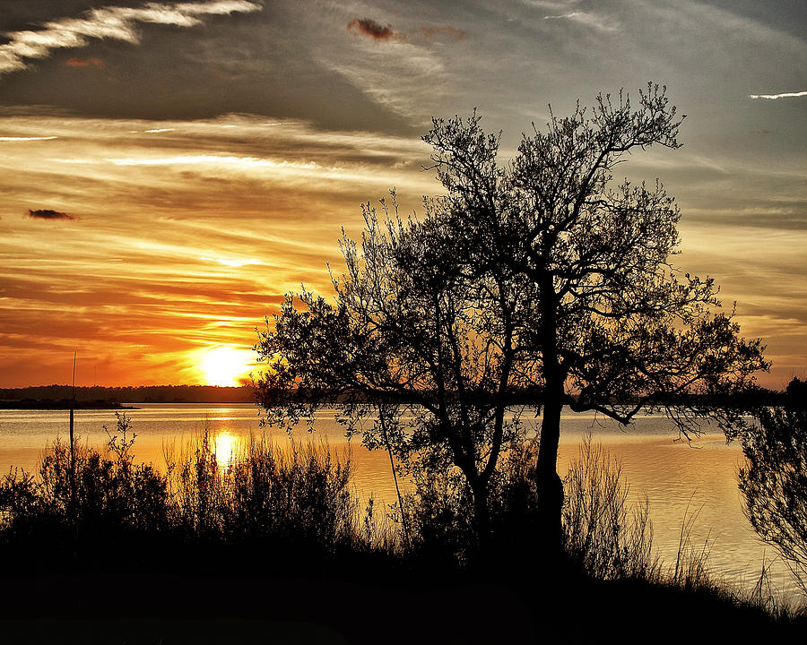 Cape Fear River Photograph - River Road Sunset by Phil Mancuso
