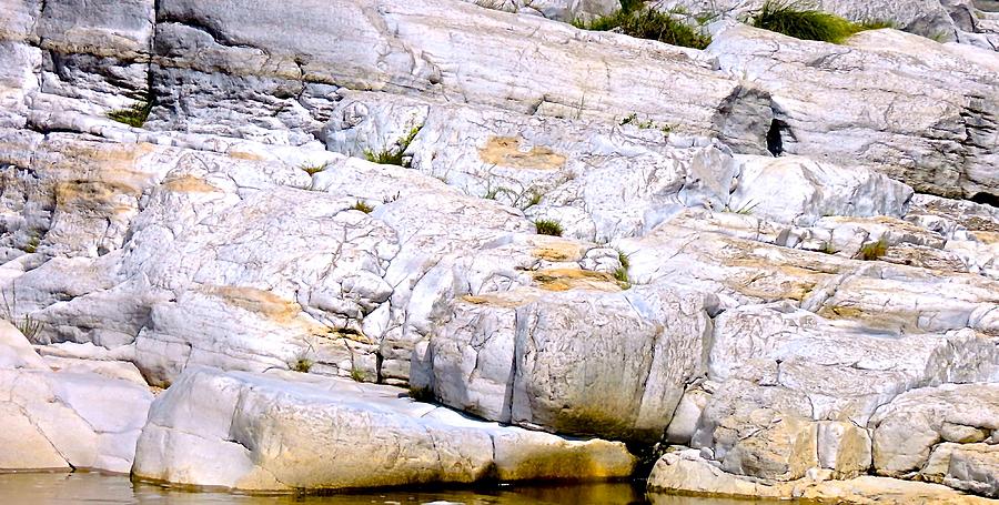 River Rock Of Perdernales Photograph by David  Norman