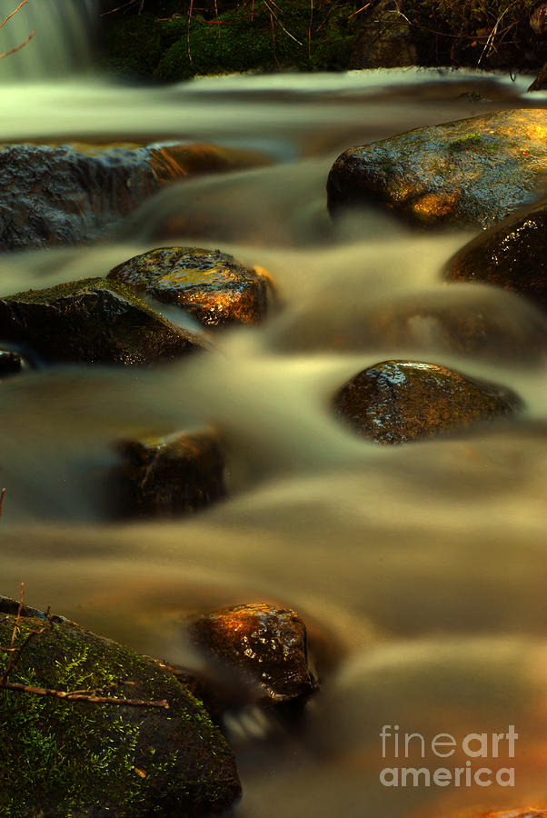 River Rocks Photograph by Loni Collins