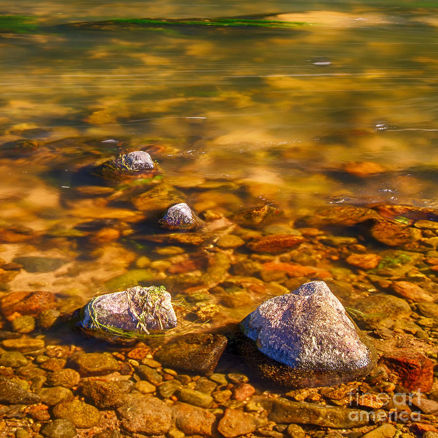 River Don Photograph - River Rocks by Mike Stephen 