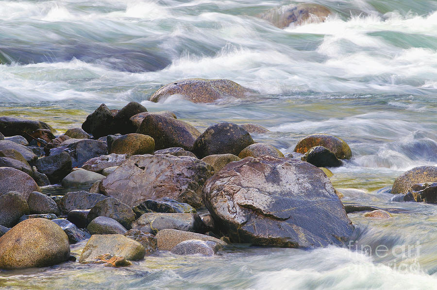 River Rocks Photograph by Sharon Talson