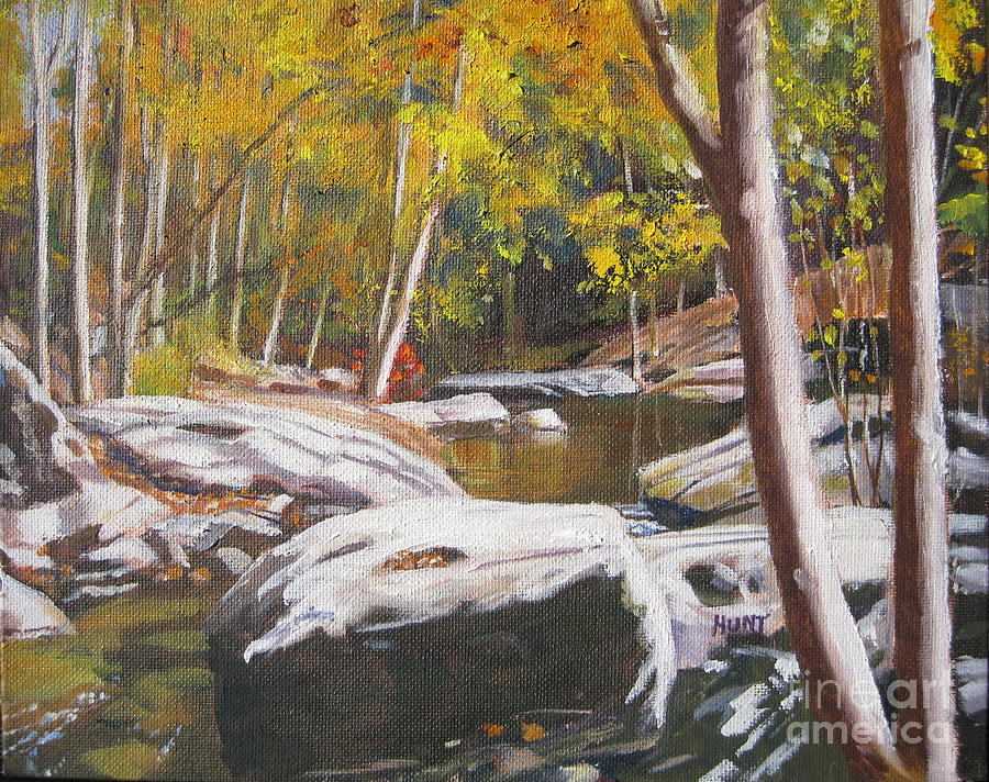 Tree Painting - River Rocks by Shirley Braithwaite Hunt