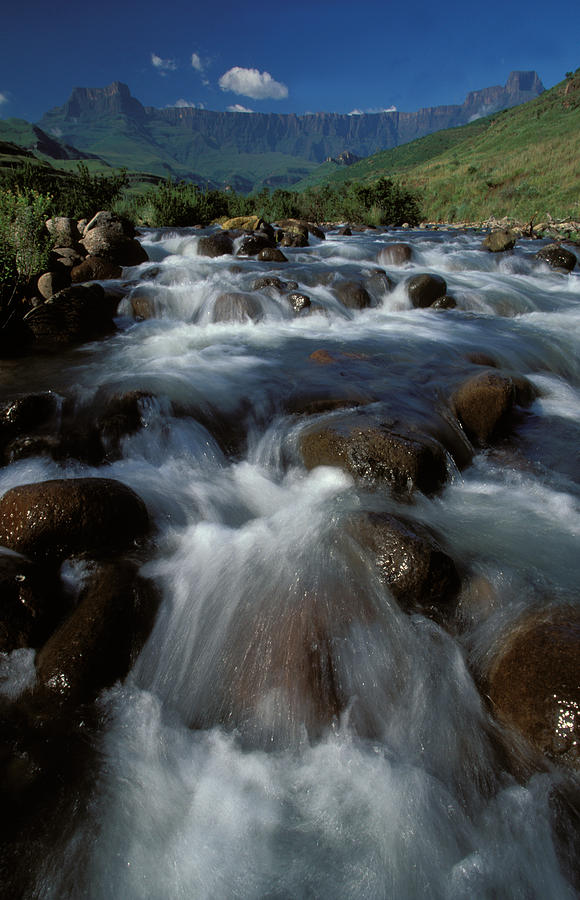 River, Royal Natal National Park Photograph by Nigel Dennis