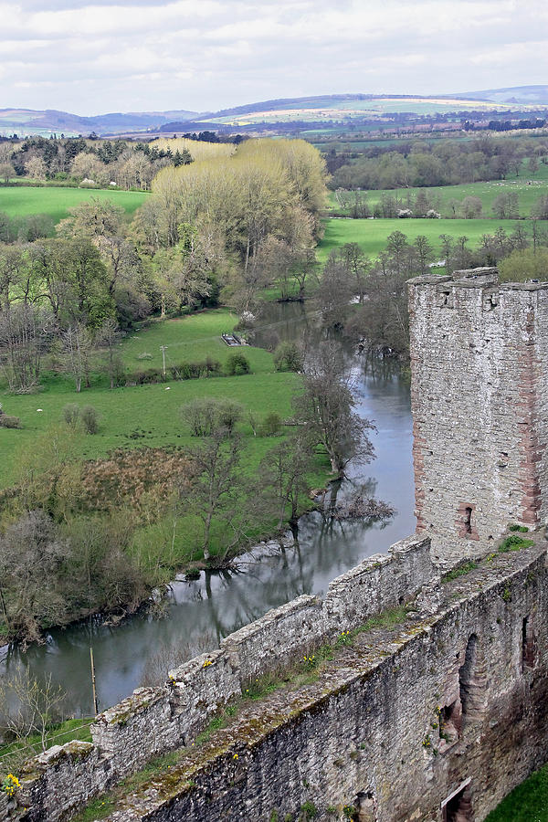 River Teme at Ludlow Castle Photograph by Tony Murtagh