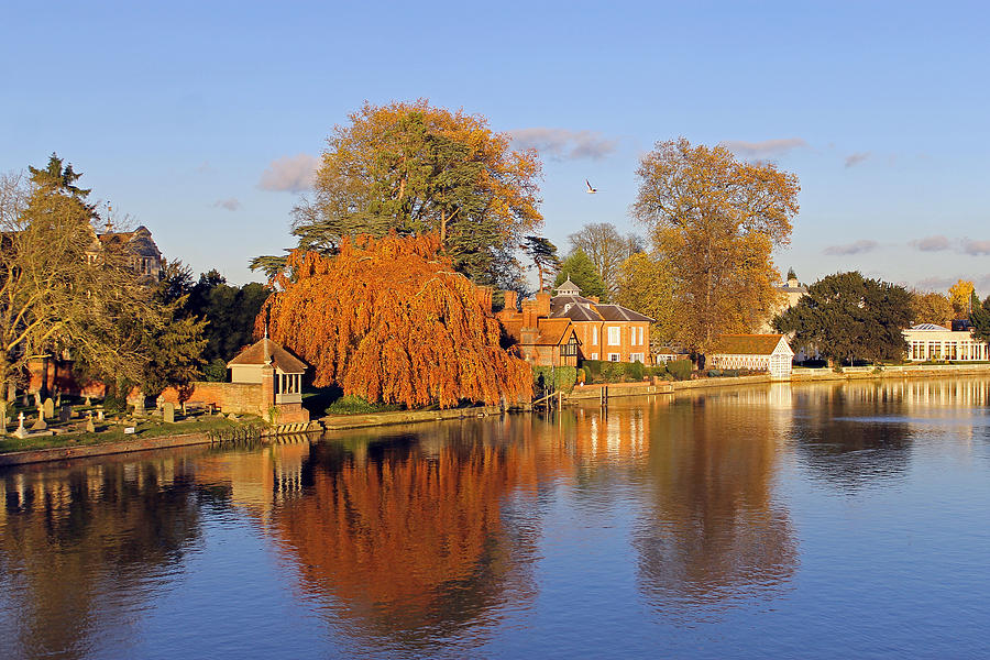 Tree Photograph - River Thames at Marlow by Tony Murtagh