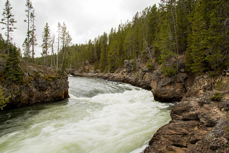 River to Upper Falls of Grand Canyon of Yellowstone Photograph by Natural Focal Point Photography