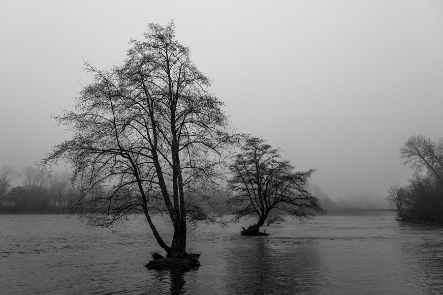 River Trees and Fog Photograph by John Daly