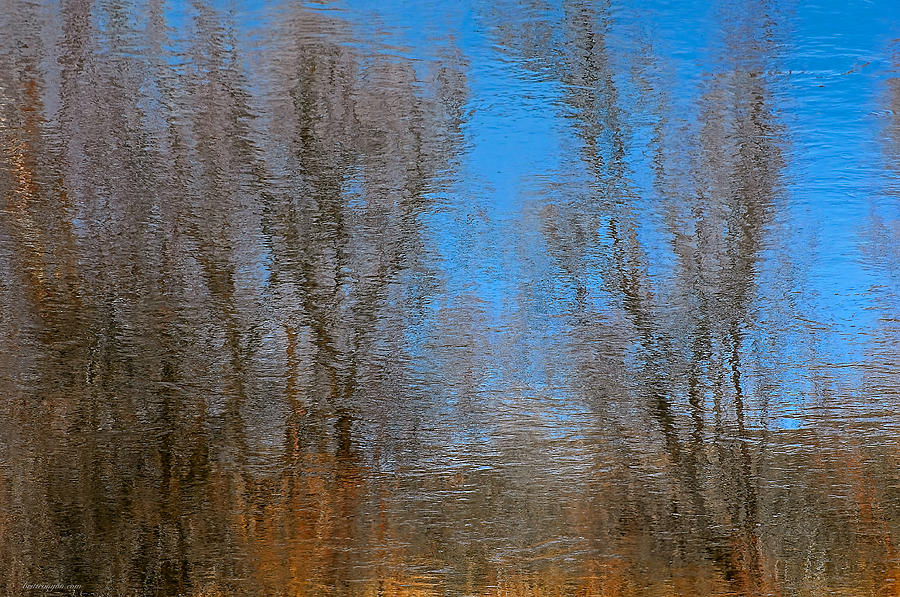 River Trees Photograph by Britt Runyon