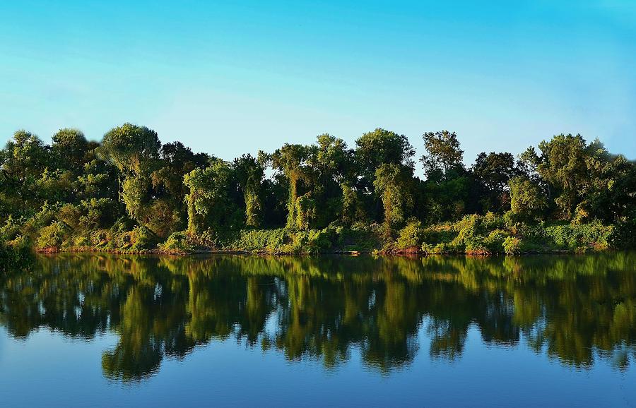 River Trees Reflection Photograph by Marilyn MacCrakin