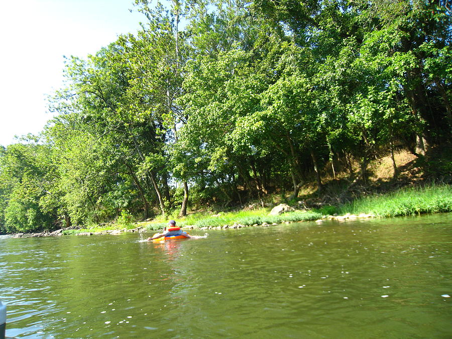 Tree Photograph - River Tubing - 12124 by DC Photographer