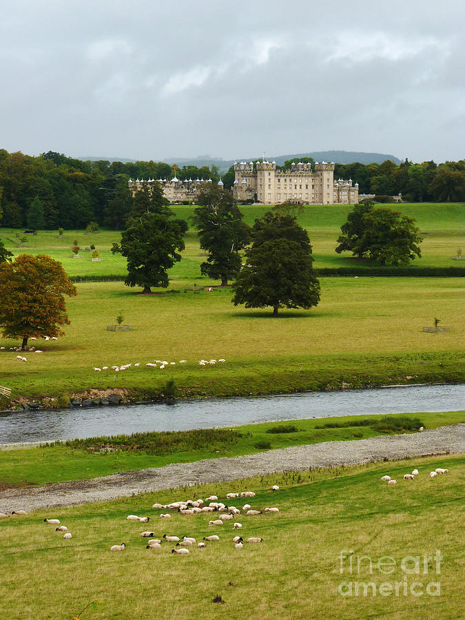 River Tweed and Floors Castle Photograph by Phil Banks