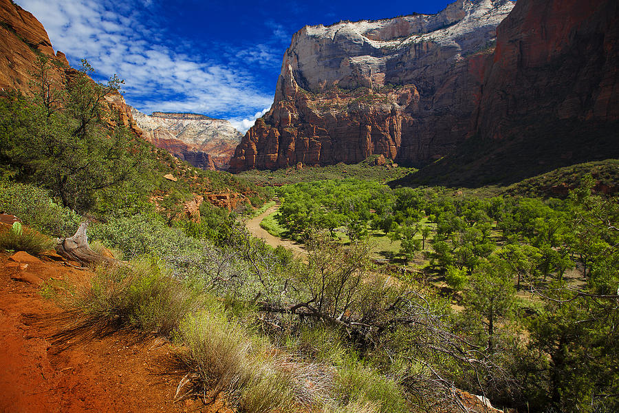 River View in Zion Park Photograph by Richard Wiggins
