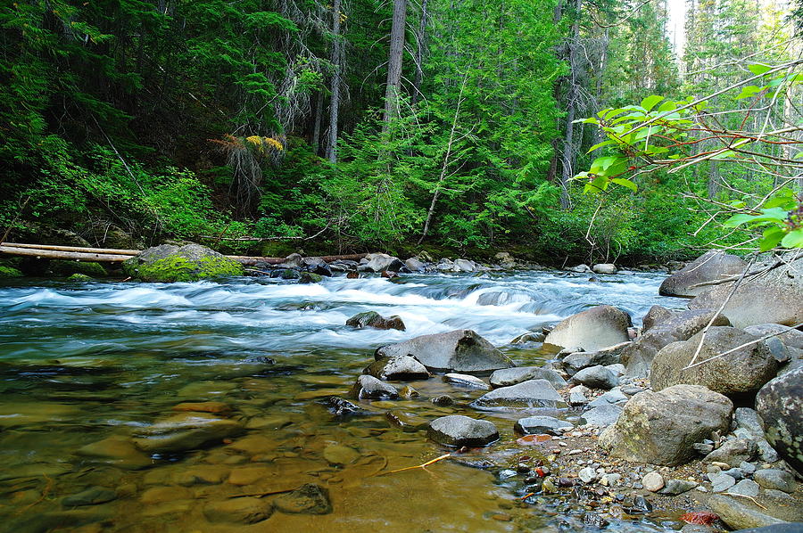 River view Photograph by Jeff Swan | Fine Art America