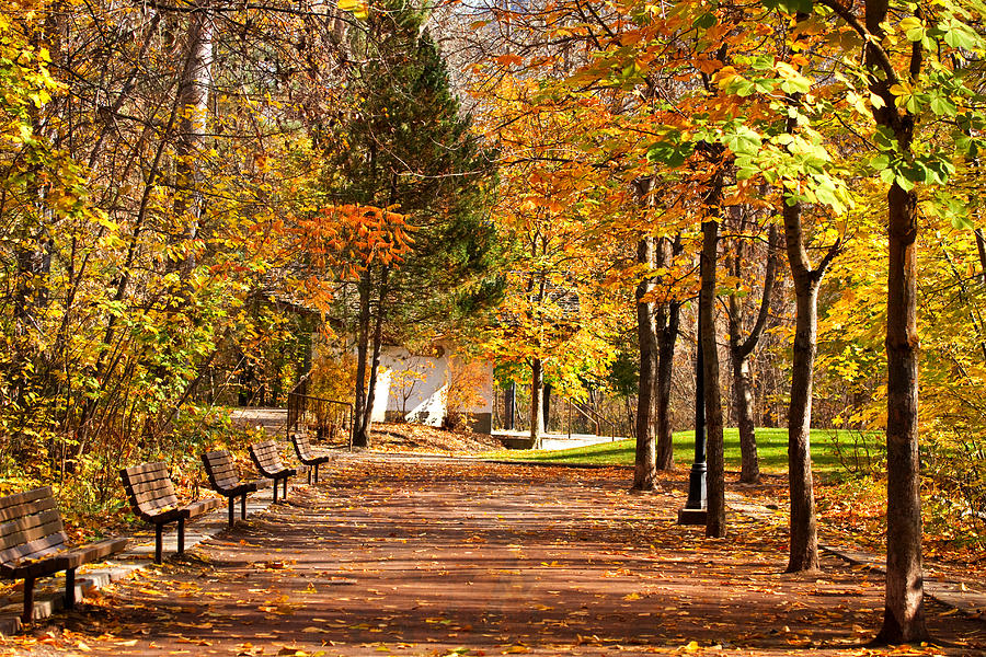 River Walk - Leavenworth WA Photograph by Marie Jamieson - Fine Art America