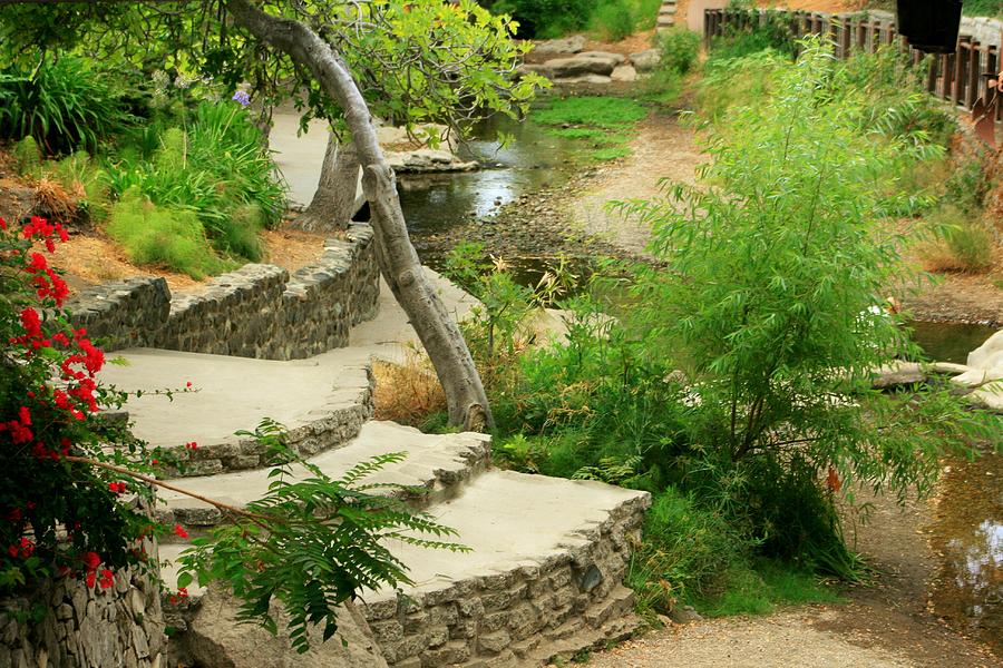 River Walk San Luis Obispo Photograph by Douglas Miller - Fine Art America