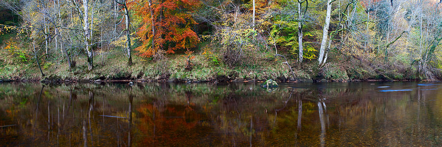 River Wharfe Reflections Photograph by Nick Atkin