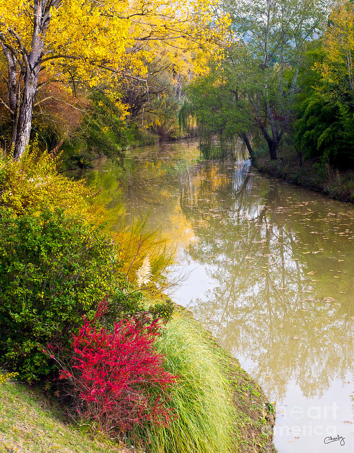 Tree Photograph - River with Autumn Colors by Prints of Italy