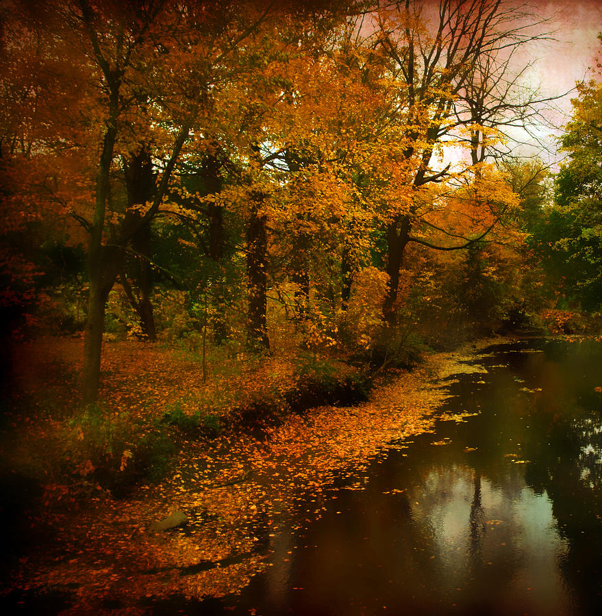 Riverbank Photograph by Jessica Jenney - Fine Art America