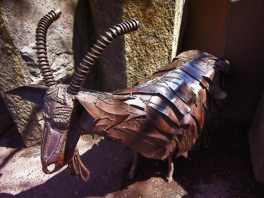 Riverfront Park Garbage Eating Goat Of Spokane Photograph by Daniel