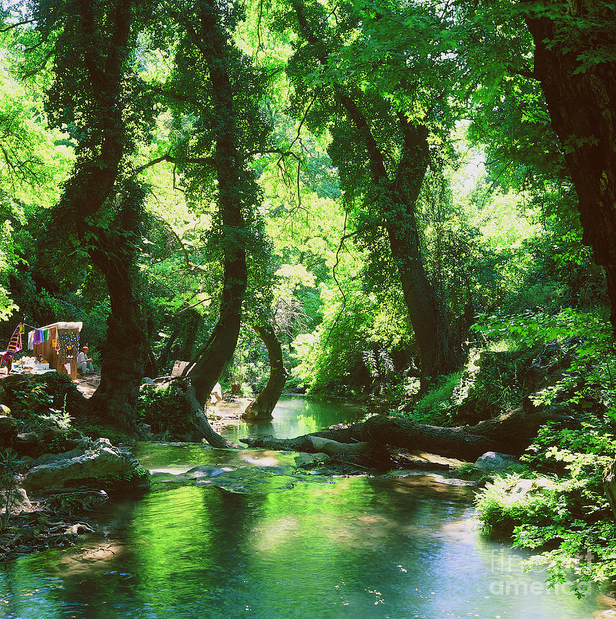 Riverside Glade in South West Turkey Photograph by Alex Cassels