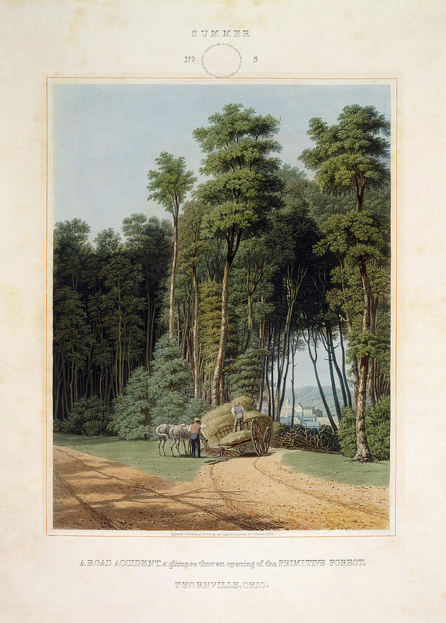 Road Accident, 1841 Painting by Granger
