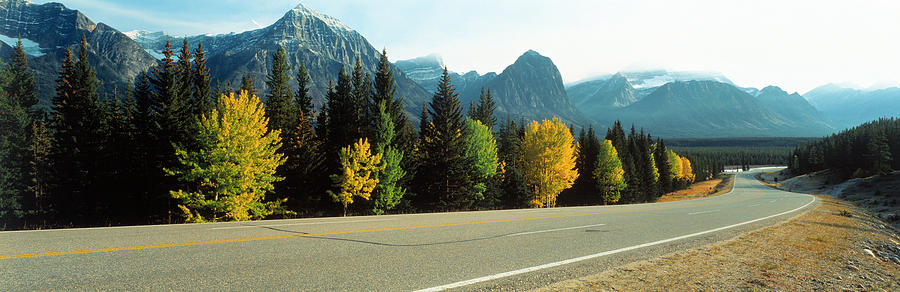 Road Alberta Canada Photograph by Panoramic Images