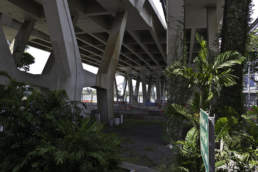 Road and greenery underneath a flyover in Singapore Photograph by Ashish Agarwal