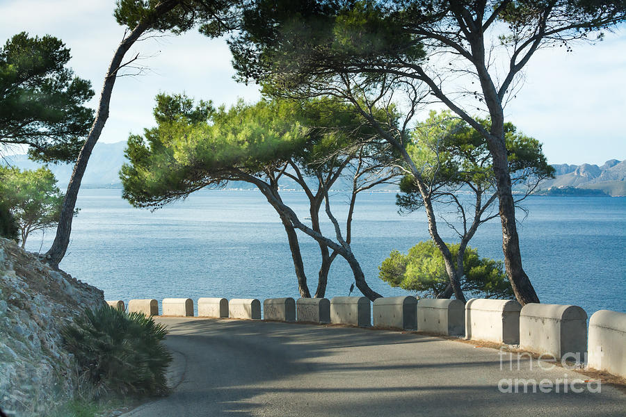 Road Bend By The Sea Photograph