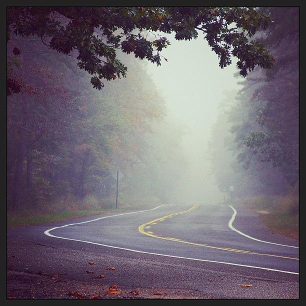 Fall Photograph - #road #fog #forest #whartonstateforest by A Loving