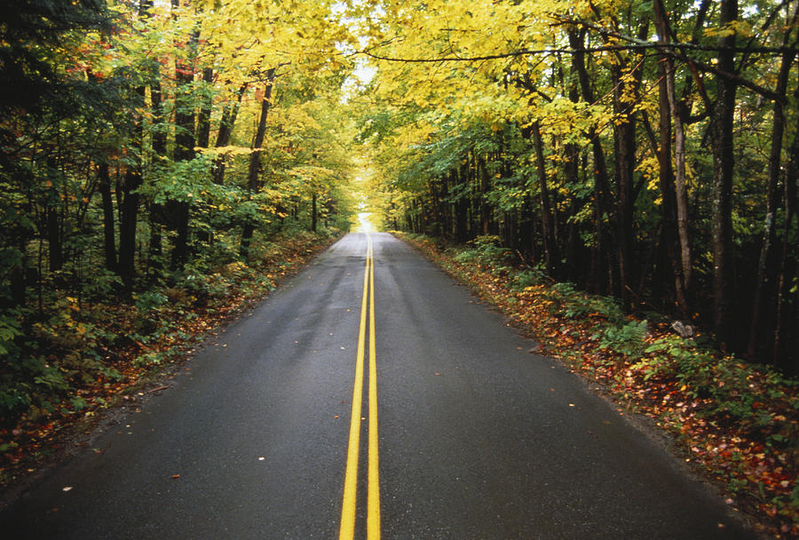Road In Autumn Photograph by Joseph Sohm