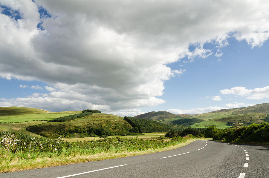 Road into Cheviot Hills Photograph by David Head - Fine Art America