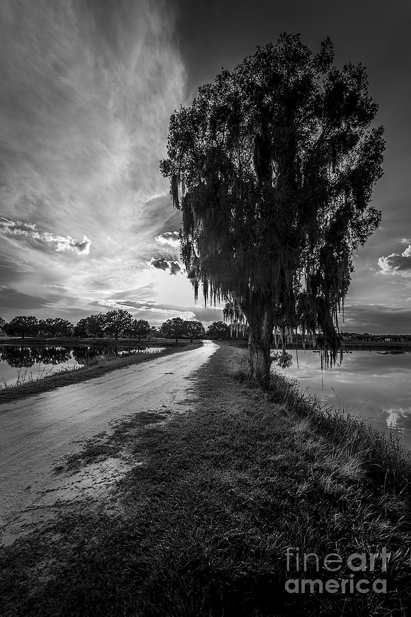 Sunset Photograph - Road Into The Light-bw by Marvin Spates