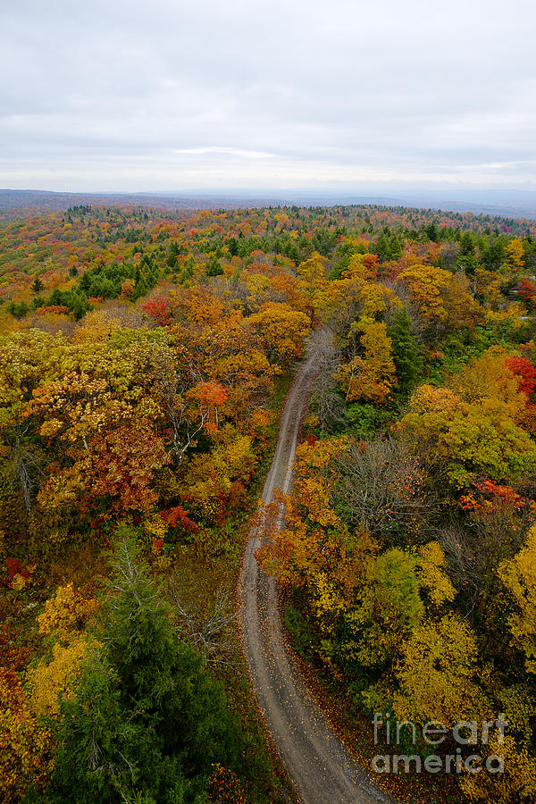 Fall Photograph - Road leading to fall foliage  by Dan Friend