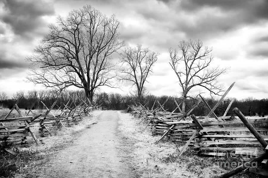 Road Less Traveled Photograph by John Rizzuto