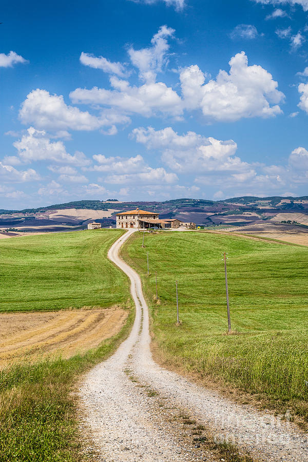Road Of Tuscany Photograph
