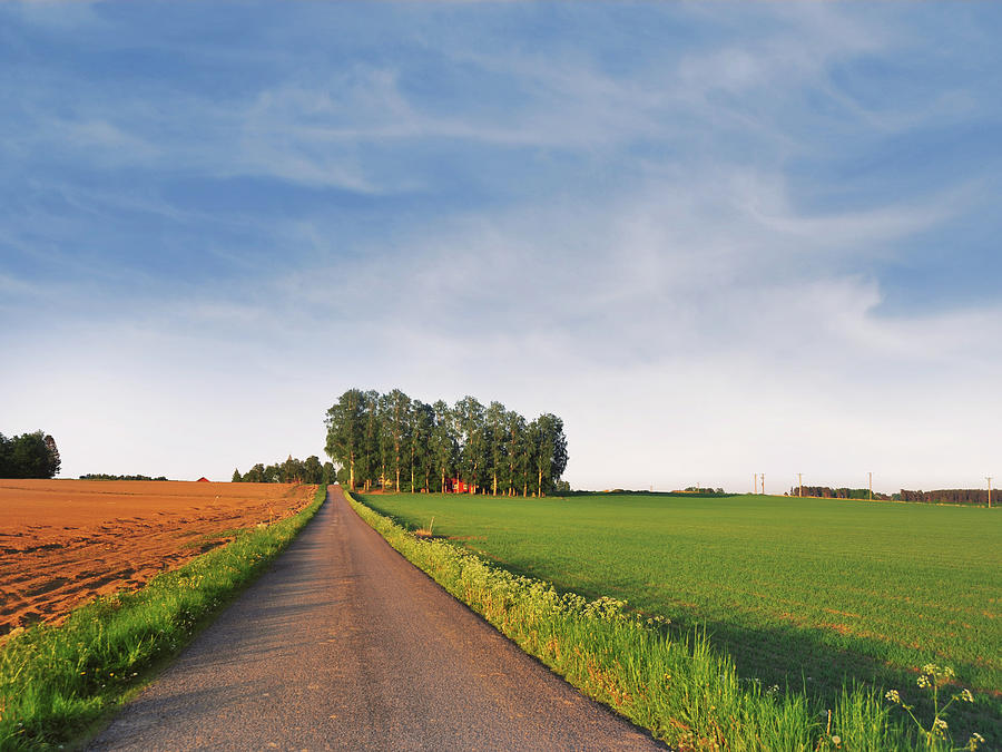 Road On The Swedish Countryside Photograph by Lkpgfoto