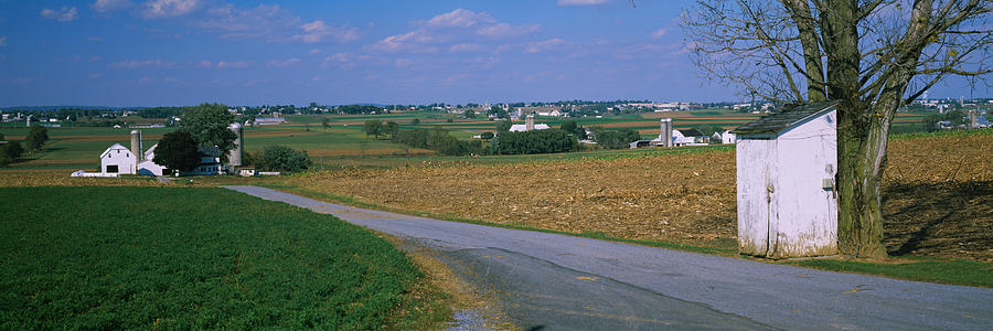Nature Photograph - Road Passing Through A Field, Amish by Panoramic Images
