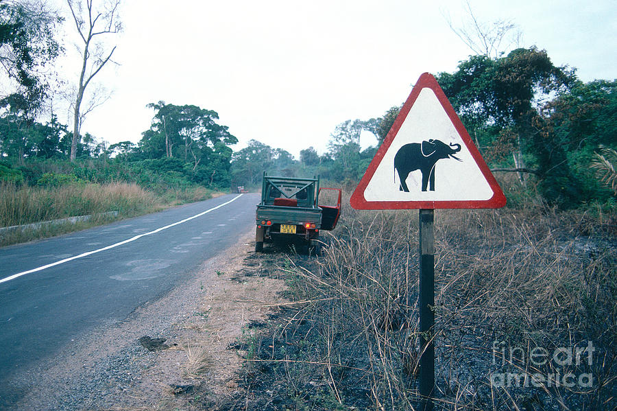Road Sign Care For Elephants Guinea Photograph by Adam Sylvester