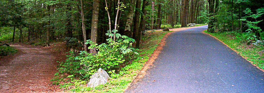 Road Split by Sandy Scharmer Road Split by Sandy Scharmer