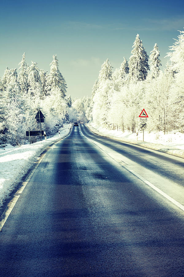 Road Through Winter Wonderland Photograph by Ollo