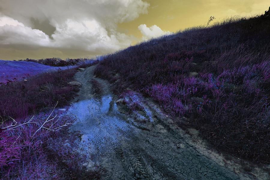 Road to a Lemon Sky. Digital Art by Linda Unger