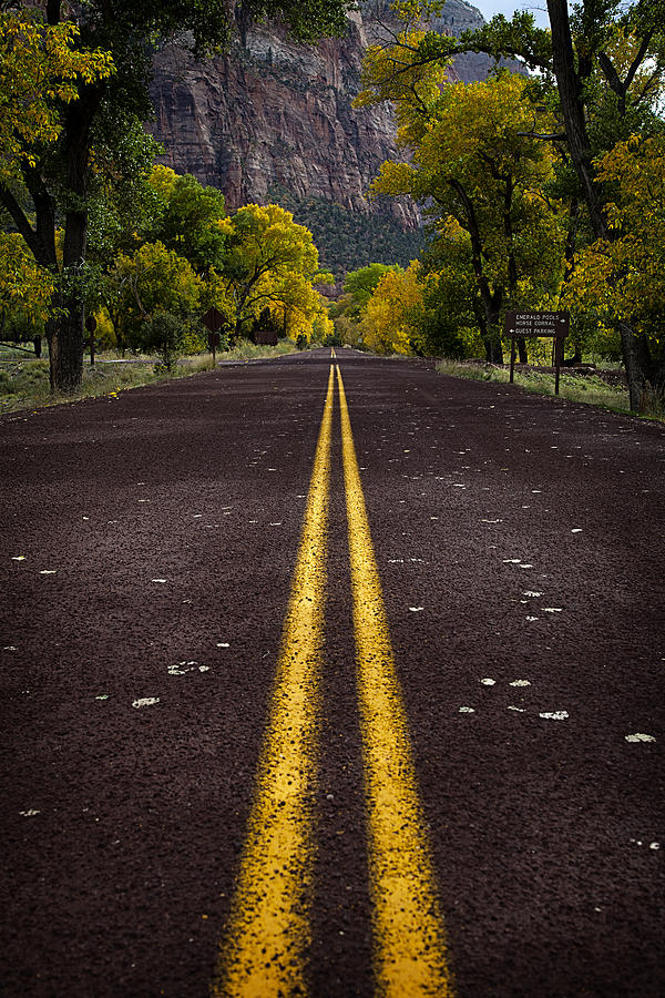 Road to Autumn Photograph by Dominique Dubied