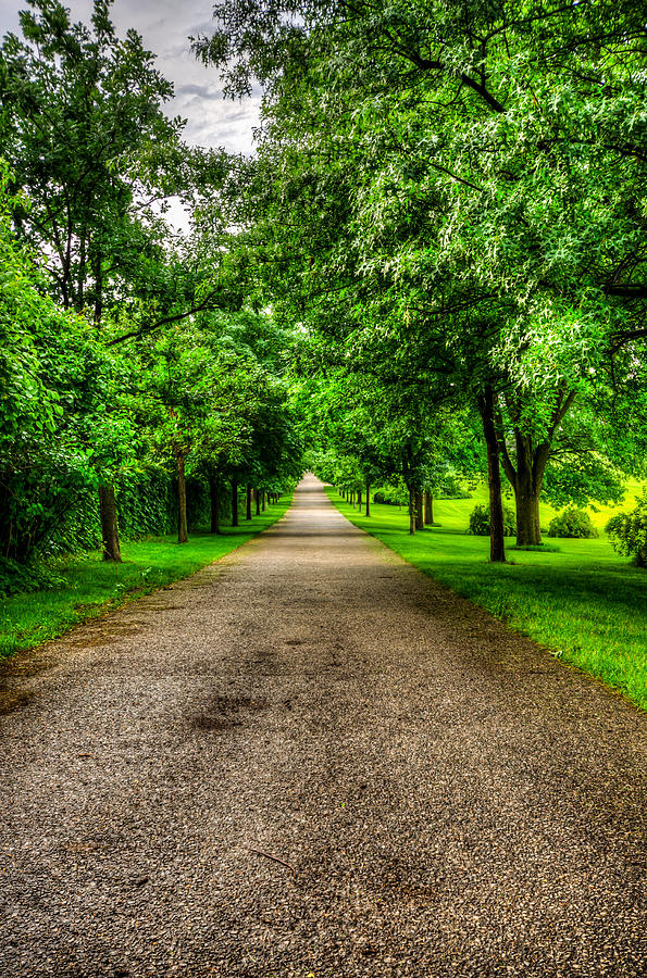 Road to Brucemore Mansion Photograph by Anthony Doudt