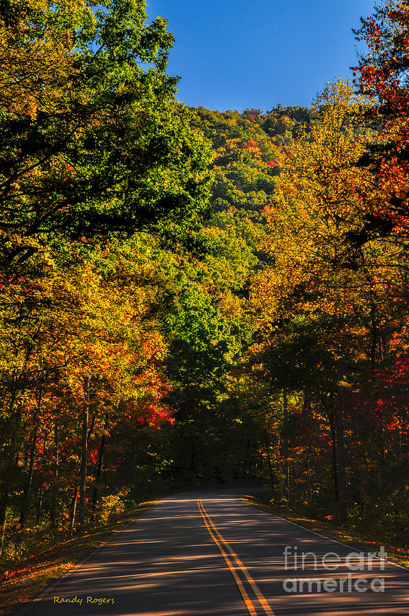 Road to Fall Photograph by Randy Rogers