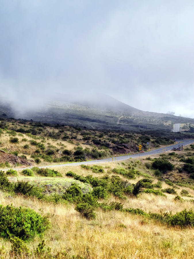 Road to Haleakala 25 Photograph by Dawn Eshelman