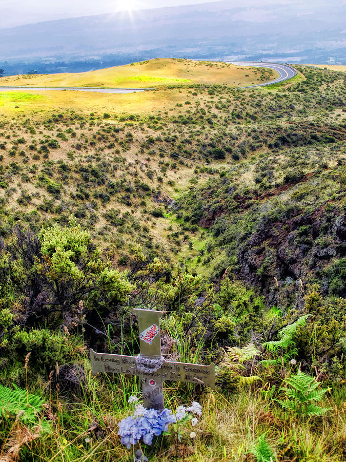 Road to Haleakala 27 Photograph by Dawn Eshelman