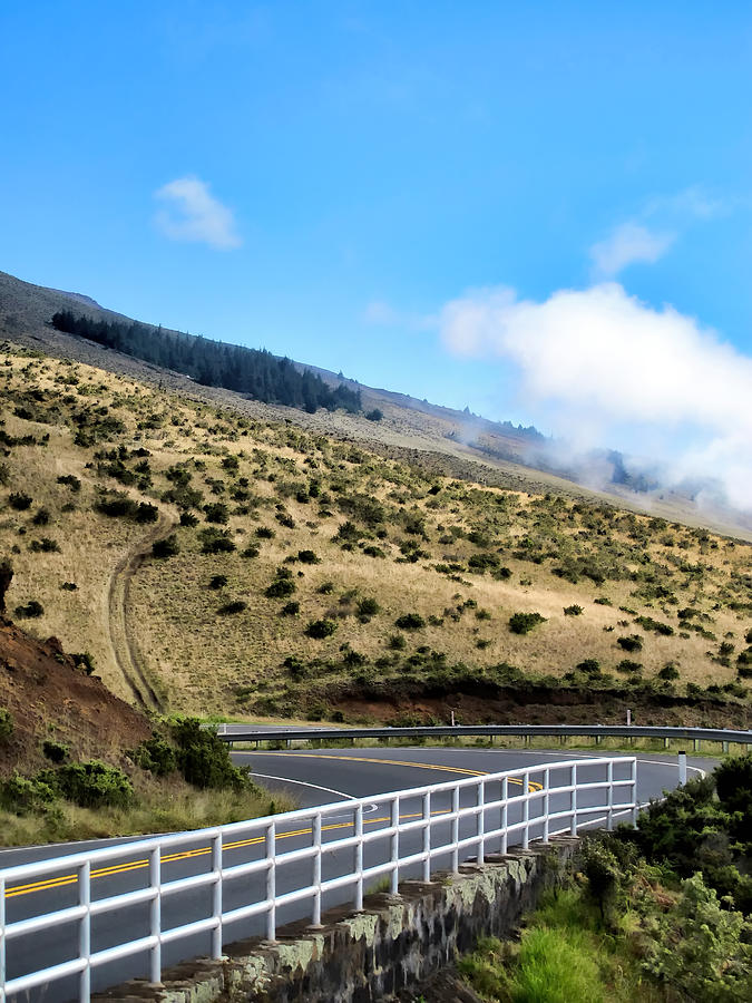 Road to Haleakala 29 Photograph by Dawn Eshelman